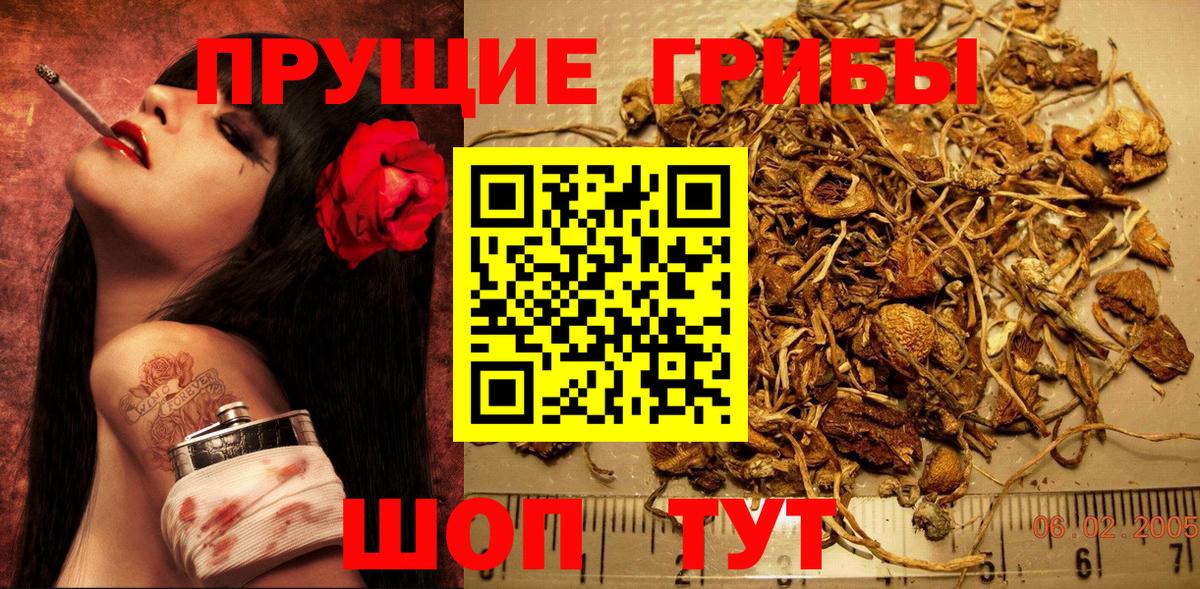 Псилоцибиновые грибы мицелий Борзя